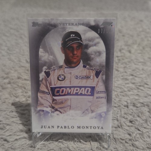 Juan pablo montoya veterano - pablo, f1