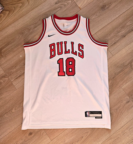 Nike chicago bulls pablo - nike,