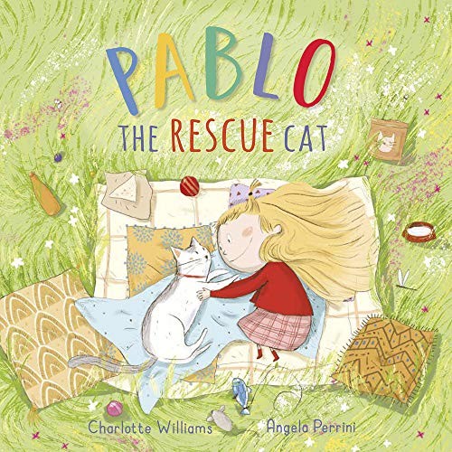 Pablo the rescue - rescue, cat